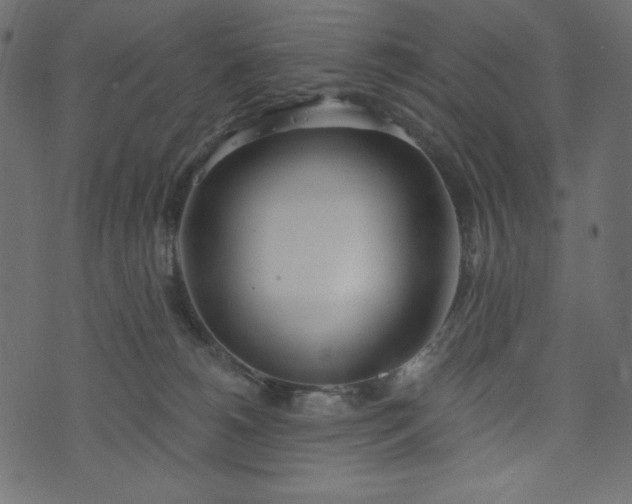 X0000073970180200608281222