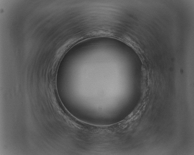 X0000073970193200608281222