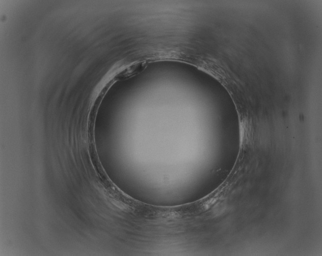 X0000073970195200608281222