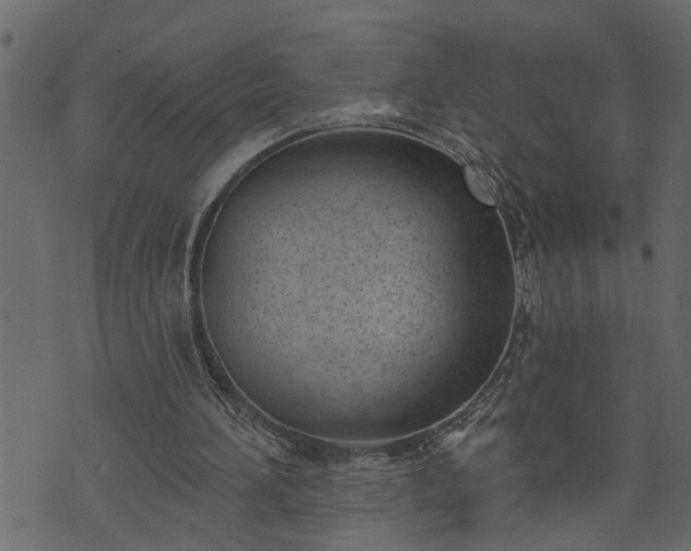 X0000073970196200608281222