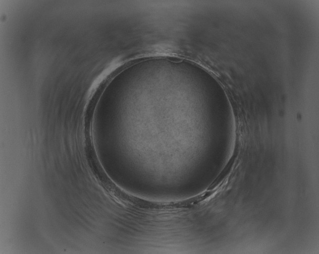 X0000073970200200608281222