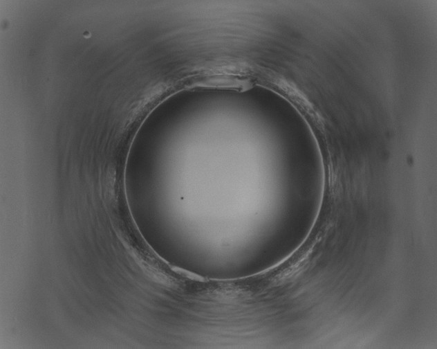 X0000073970201200608281222