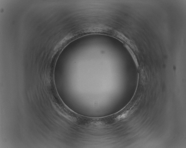 X0000073970203200608281222