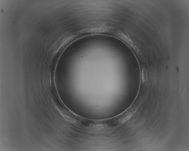 X0000073970205200608281222