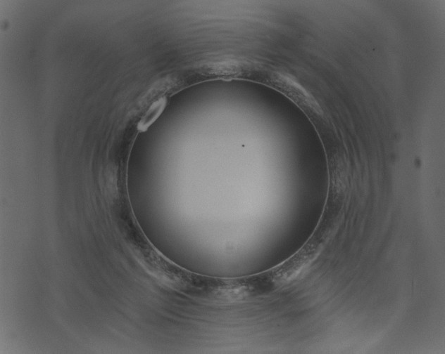 X0000073970213200608281222