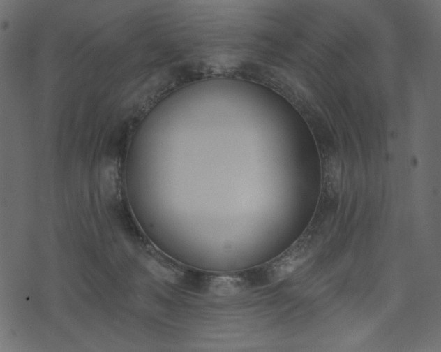 X0000073970222200608281221
