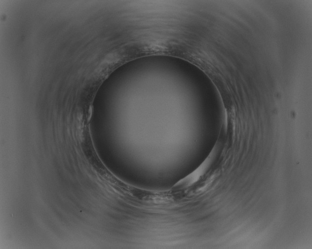 X0000073970223200608281221