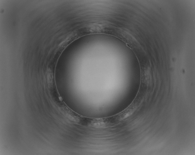X0000073970228200608281221