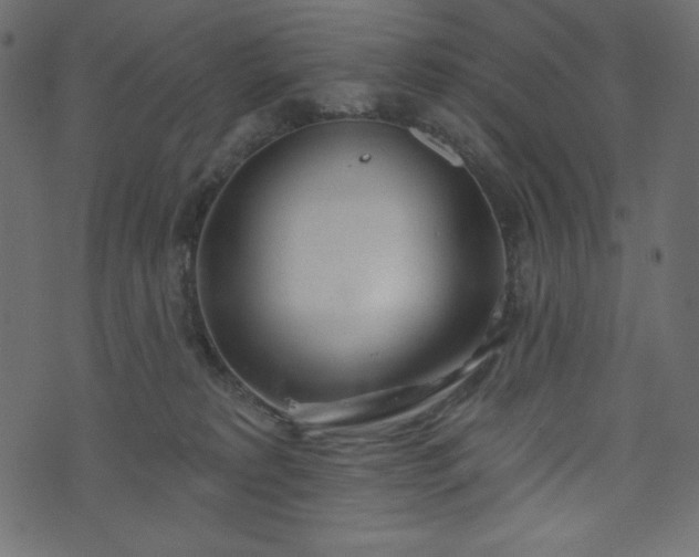 X0000073970229200608281221