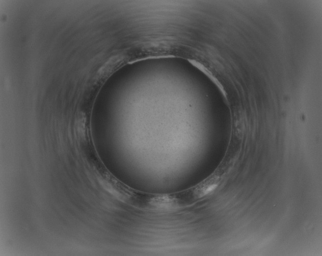 X0000073970231200608281221