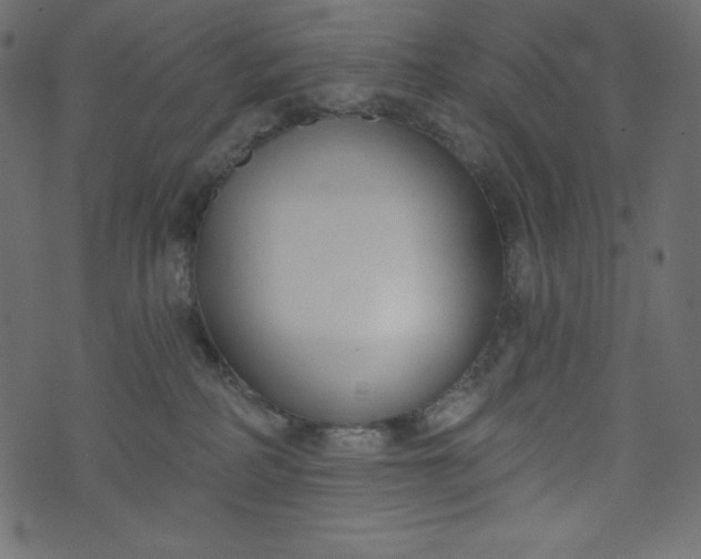 X0000073970234200608281221