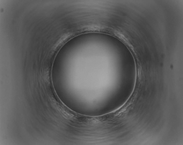 X0000073970249200608281220