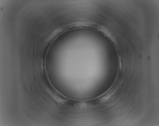 X0000073970253200608281220