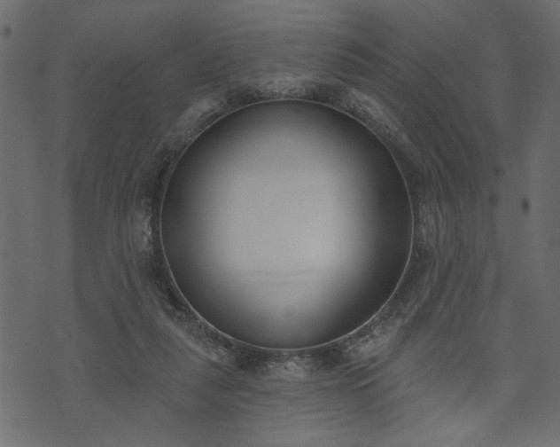 X0000073970259200608281221