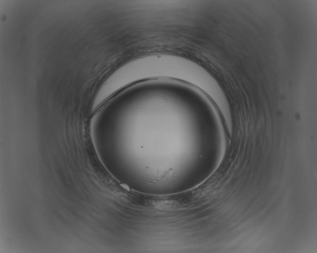 X0000073970268200608281221