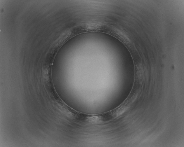 X0000073970269200608281221