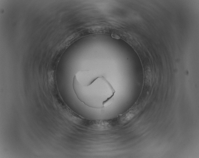 X0000073970278200608281221