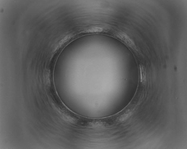 X0000073970300200608281220