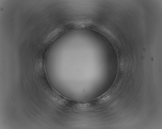 X0000073970314200608281220