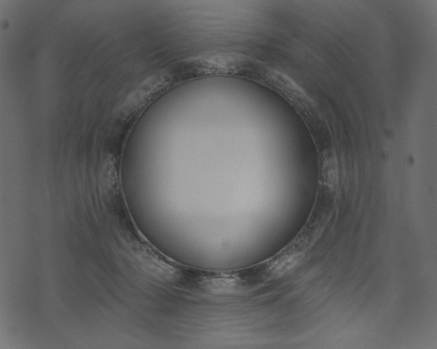 X0000073970318200608281220