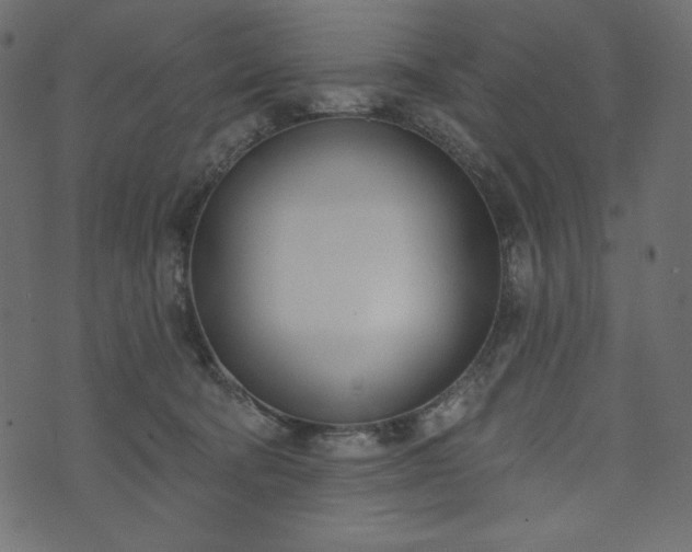 X0000073970322200608281220