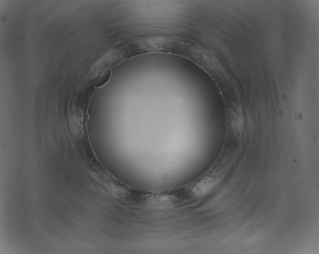 X0000073970332200608281220