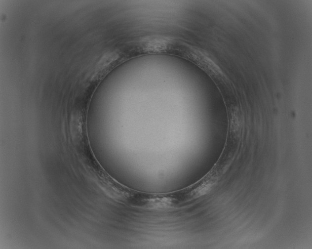 X0000073970363200608281219