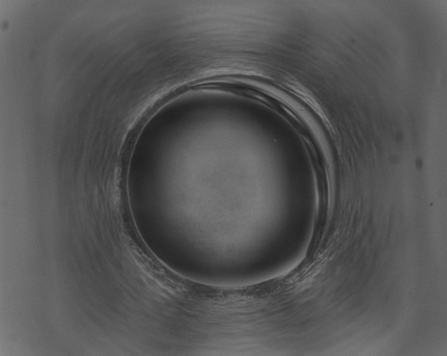 X0000073970387200608281219