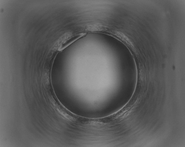 X0000073970393200608281219