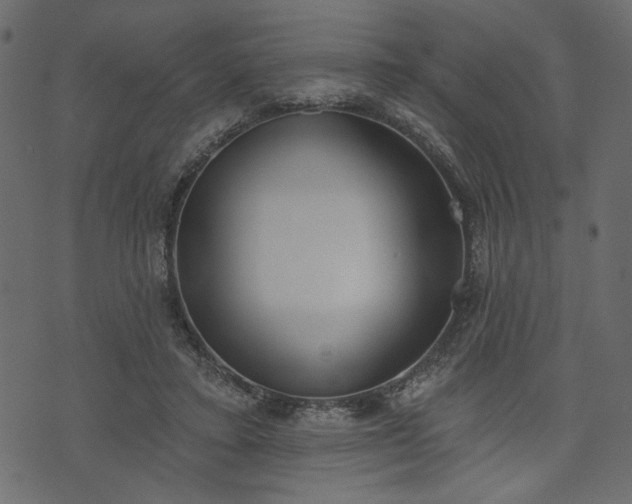 X0000073970403200608281218