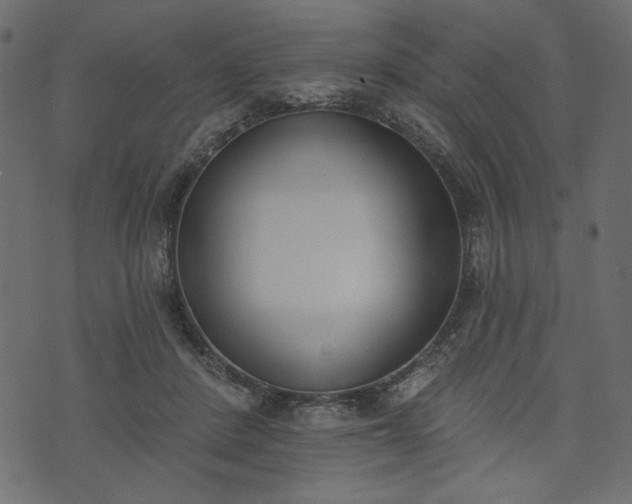 X0000073970408200608281218