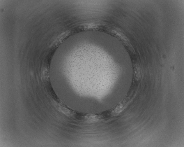 X0000073970419200608281218