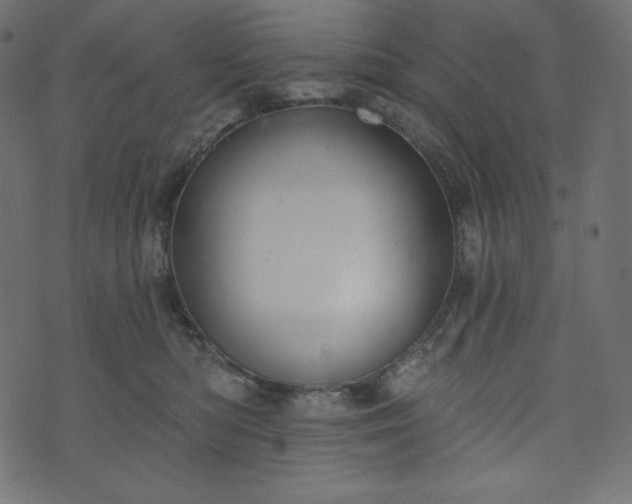 X0000073970422200608281218