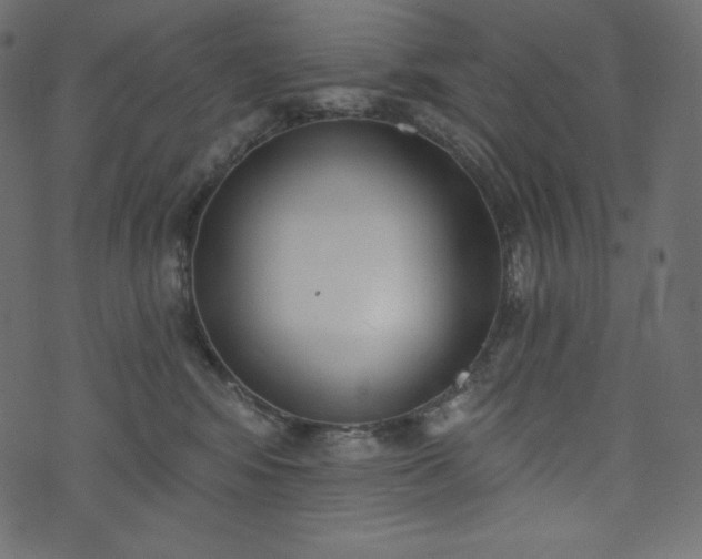 X0000073970424200608281218