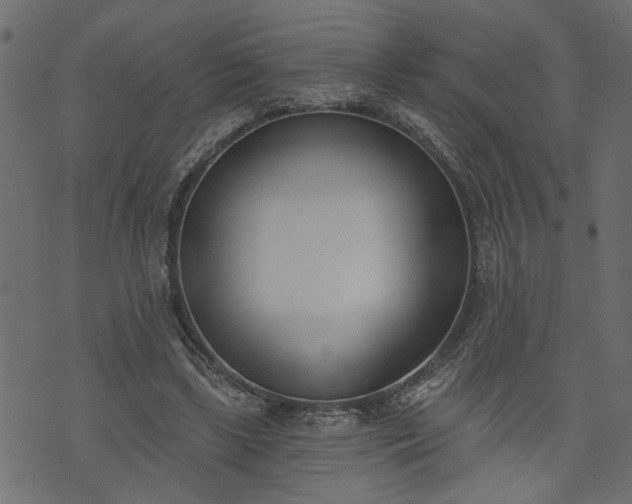 X0000073970443200608281217