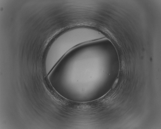 X0000073970444200608281217