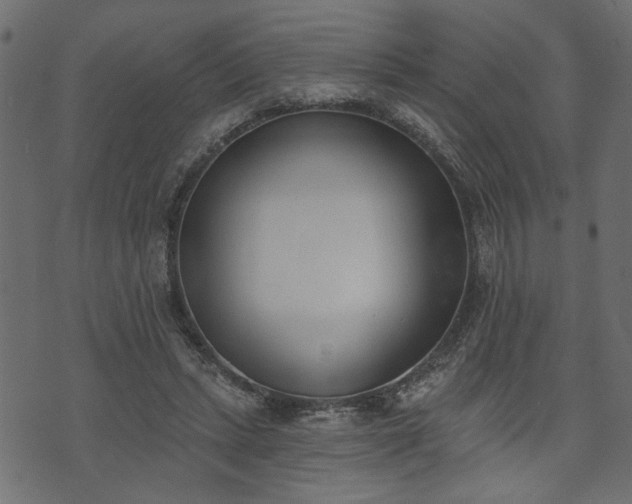X0000073970447200608281217
