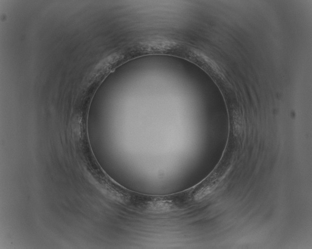 X0000073970451200608281217