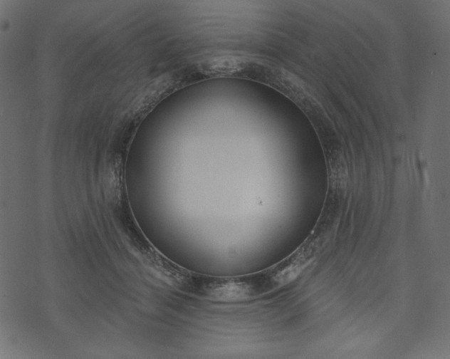 X0000073970460200608281218
