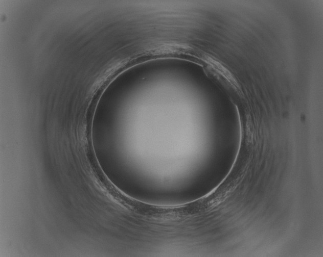X0000073970485200608281217