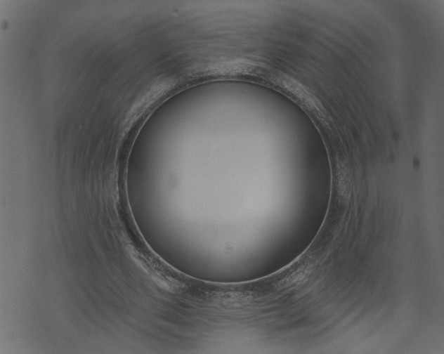 X0000073970486200608281217