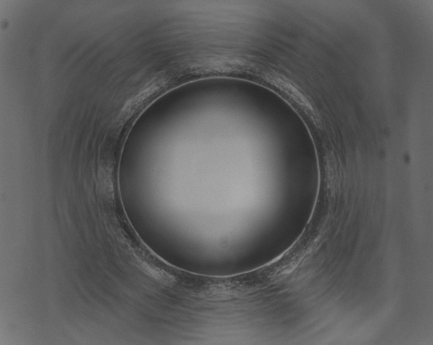 X0000073970489200608281217