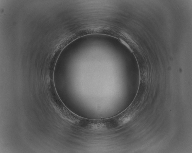 X0000073970500200608281217