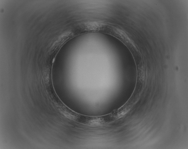 X0000073970505200608281217