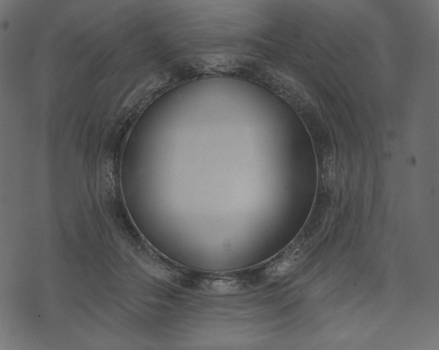 X0000073970506200608281217