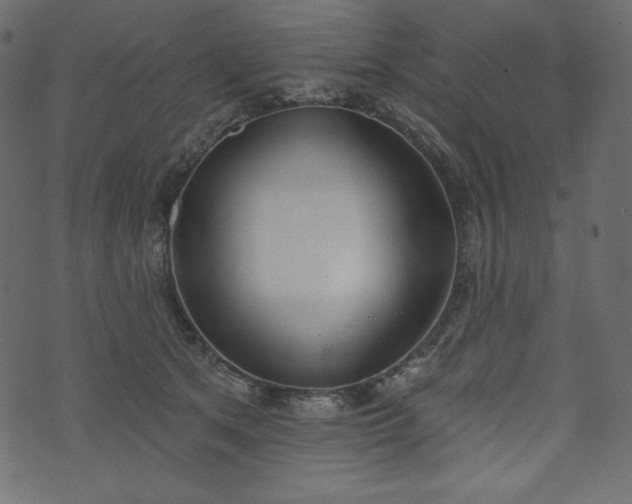 X0000073970513200608281217