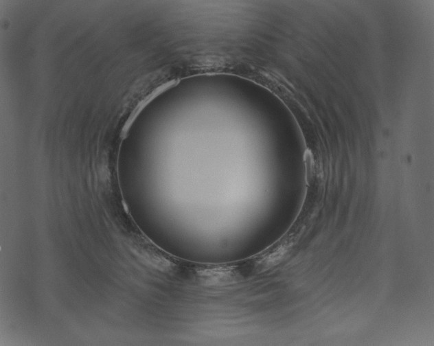 X0000073970516200608281217