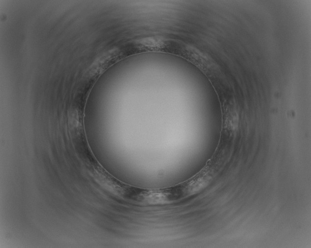 X0000073970518200608281217