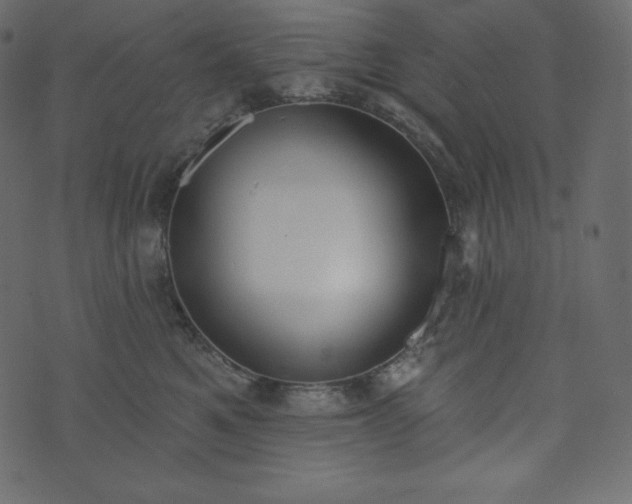 X0000073970521200608281216