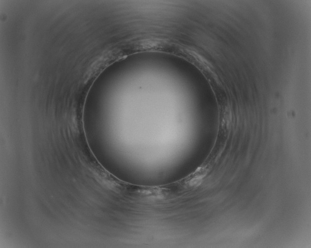 X0000073970524200608281216